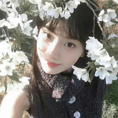 铁血丹心
